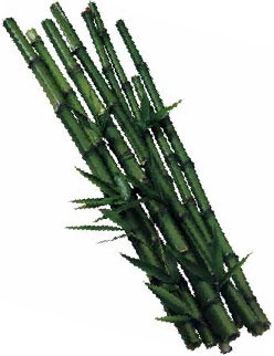 Иллюстрация к книге — Кулинарная энциклопедия. Том 2. Б (Баба – Бефстроганов) [_41.jpg]