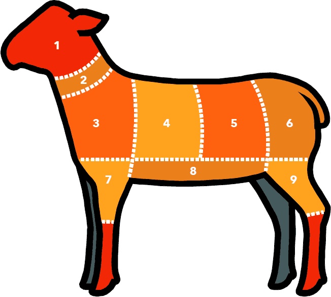 Иллюстрация к книге — Кулинарная энциклопедия. Том 2. Б (Баба – Бефстроганов) [_65.jpg]