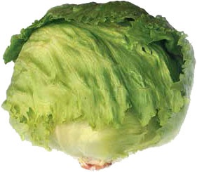 Иллюстрация к книге — Кулинарная энциклопедия. Том 1. А (А ля карт – Аэрофритюрница) [_42.jpg]