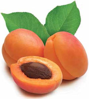 Иллюстрация к книге — Кулинарная энциклопедия. Том 1. А (А ля карт – Аэрофритюрница) [_5.jpg]