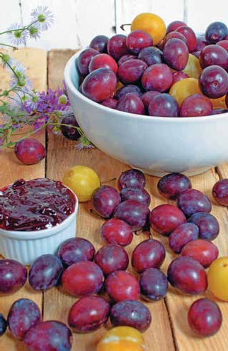 Иллюстрация к книге — Кулинарная энциклопедия. Том 1. А (А ля карт – Аэрофритюрница) [_52.jpg]