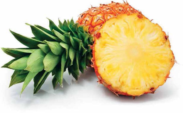 Иллюстрация к книге — Кулинарная энциклопедия. Том 1. А (А ля карт – Аэрофритюрница) [_64.jpg]