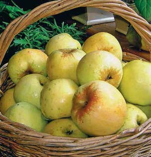 Иллюстрация к книге — Кулинарная энциклопедия. Том 1. А (А ля карт – Аэрофритюрница) [_77.jpg]