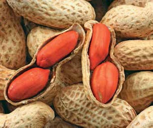 Иллюстрация к книге — Кулинарная энциклопедия. Том 1. А (А ля карт – Аэрофритюрница) [_96.jpg]