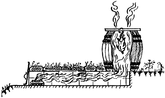 Иллюстрация к книге — Малая энциклопедия консервирования [i_003.jpg]