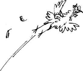 Иллюстрация к книге — Волшебное лекарство Джорджа [i_033.jpg]