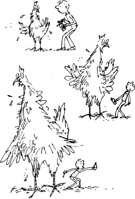 Иллюстрация к книге — Волшебное лекарство Джорджа [i_037.jpg]