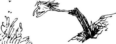 Иллюстрация к книге — Волшебное лекарство Джорджа [i_038.jpg]