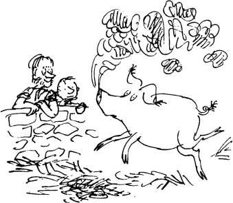 Иллюстрация к книге — Волшебное лекарство Джорджа [i_041.jpg]