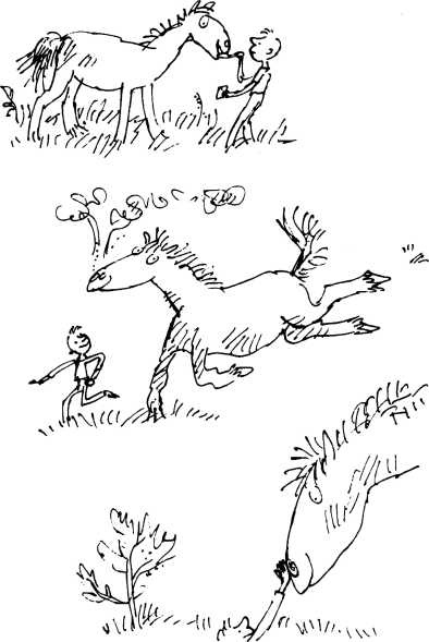 Иллюстрация к книге — Волшебное лекарство Джорджа [i_045.jpg]