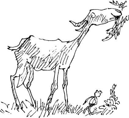 Иллюстрация к книге — Волшебное лекарство Джорджа [i_048.jpg]