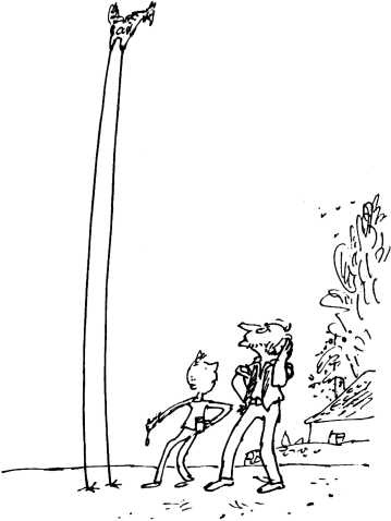 Иллюстрация к книге — Волшебное лекарство Джорджа [i_056.jpg]