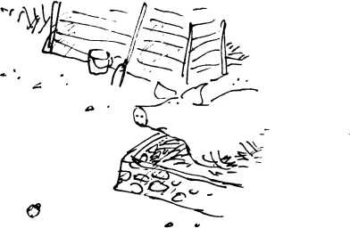 Иллюстрация к книге — Волшебное лекарство Джорджа [i_066.jpg]