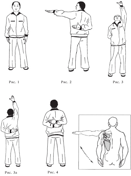 Иллюстрация к книге — Оздоровительные упражнения Древнего Китая [i_037.jpg]