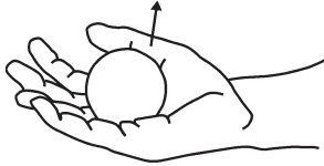 Иллюстрация к книге — Оздоровительные упражнения Древнего Китая [i_200.jpg]