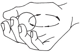 Иллюстрация к книге — Оздоровительные упражнения Древнего Китая [i_203.jpg]