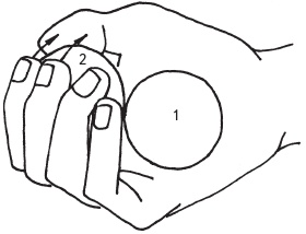 Иллюстрация к книге — Оздоровительные упражнения Древнего Китая [i_206.jpg]