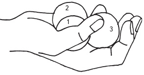 Иллюстрация к книге — Оздоровительные упражнения Древнего Китая [i_211.jpg]