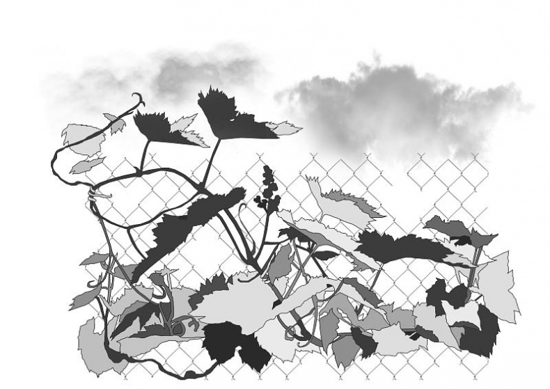 Иллюстрация к книге — Дальше жить [i_010.jpg]