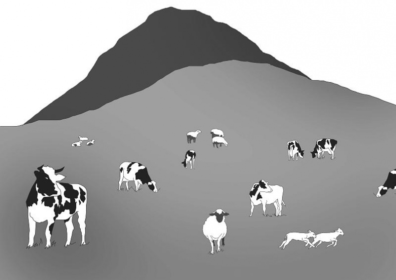 Иллюстрация к книге — Дальше жить [i_020.jpg]