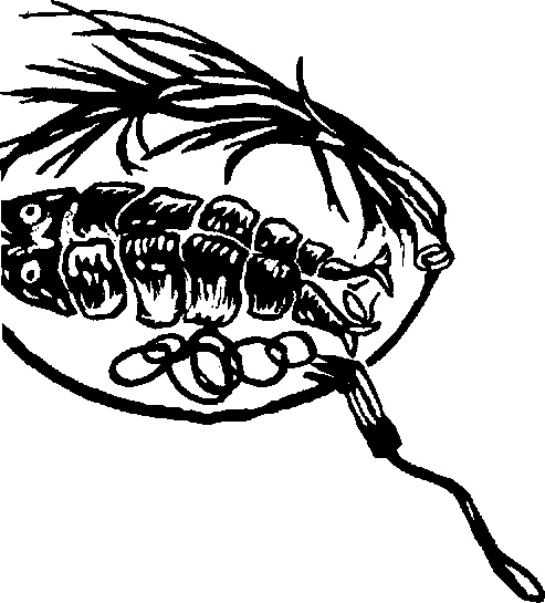 Иллюстрация к книге — Жратва [i_007.jpg]