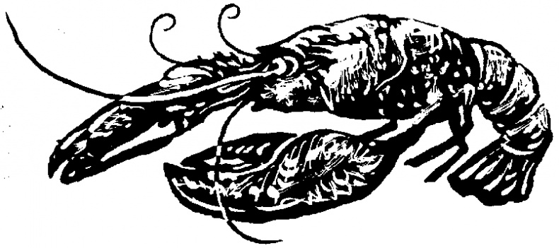 Иллюстрация к книге — Жратва [i_014.jpg]