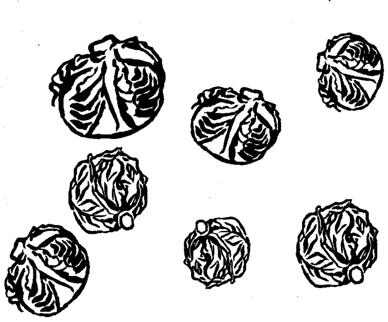 Иллюстрация к книге — Жратва [i_031.jpg]