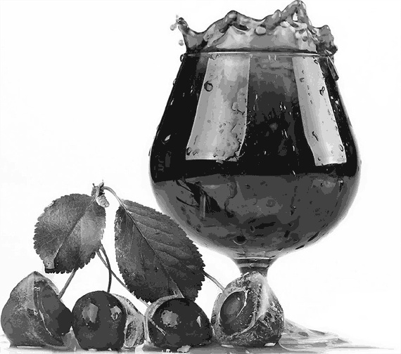 Иллюстрация к книге — Готовим по рецептам Е. Молоховец [autogen_ebook_id12.jpg]