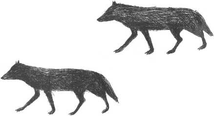 Иллюстрация к книге — Великие женщины Древней Руси [i_034.jpg]