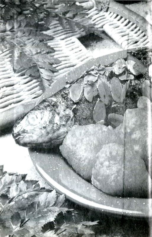 Иллюстрация к книге — Все о еврейской кухне [i_002.jpg]