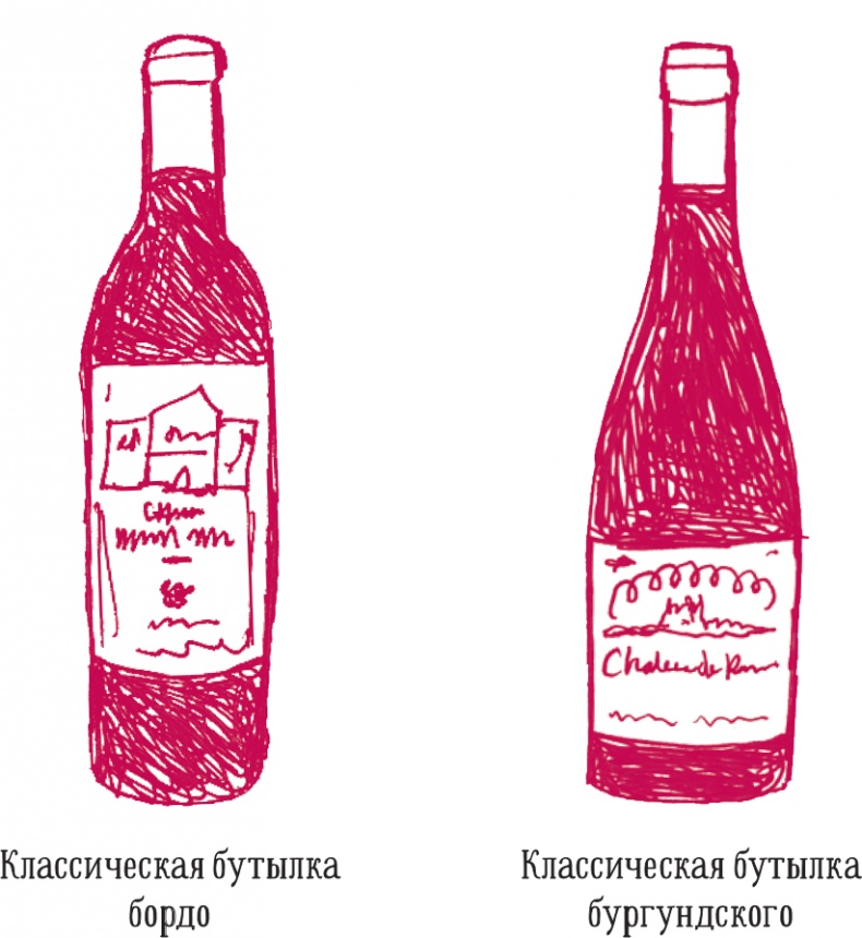 Иллюстрация к книге — Винный эксперт за 24 часа [i_003.jpg]