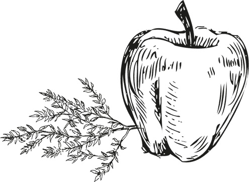 Иллюстрация к книге — Кухня наших родителей. Рецепты из Бердичева [i_008.jpg]