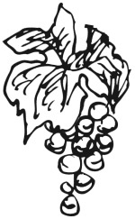 Иллюстрация к книге — Вино, настойки, ликеры [i_004.jpg]