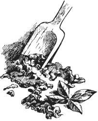 Иллюстрация к книге — Вино, настойки, ликеры [i_018.jpg]