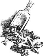 Иллюстрация к книге — Вино, настойки, ликеры [i_051.jpg]