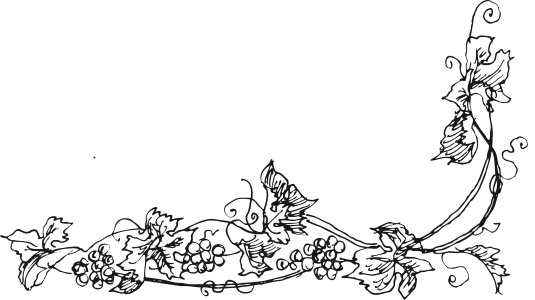 Иллюстрация к книге — Вино, настойки, ликеры [i_055.jpg]