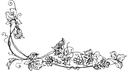 Иллюстрация к книге — Вино, настойки, ликеры [i_073.jpg]