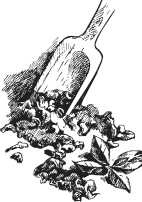 Иллюстрация к книге — Вино, настойки, ликеры [i_147.jpg]