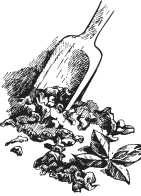 Иллюстрация к книге — Вино, настойки, ликеры [i_225.jpg]