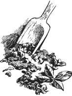 Иллюстрация к книге — Вино, настойки, ликеры [i_226.jpg]