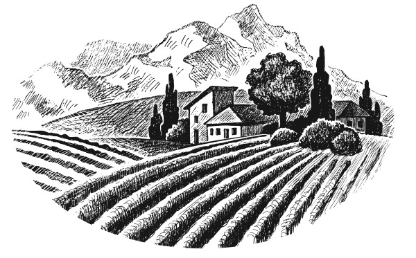 Иллюстрация к книге — Вино, настойки, ликеры [i_244.jpg]