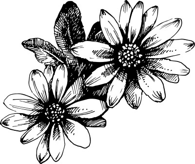 Иллюстрация к книге — Вино, настойки, ликеры [i_264.jpg]