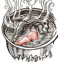 Иллюстрация к книге — Сам себе шеф-повар. Как научиться готовить без рецептов [i_001.jpg]