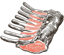 Иллюстрация к книге — Сам себе шеф-повар. Как научиться готовить без рецептов [i_005.jpg]