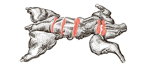 Иллюстрация к книге — Сам себе шеф-повар. Как научиться готовить без рецептов [i_011.jpg]