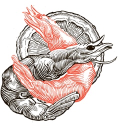 Иллюстрация к книге — Сам себе шеф-повар. Как научиться готовить без рецептов [i_047.jpg]