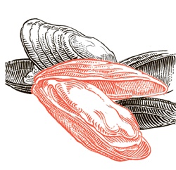 Иллюстрация к книге — Сам себе шеф-повар. Как научиться готовить без рецептов [i_048.jpg]