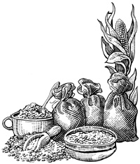 Иллюстрация к книге — Сам себе шеф-повар. Как научиться готовить без рецептов [i_058.jpg]