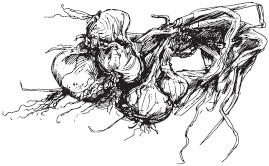 Иллюстрация к книге — Блюда на каждый день в мультиварке [autogen_ebook_id7.jpg]