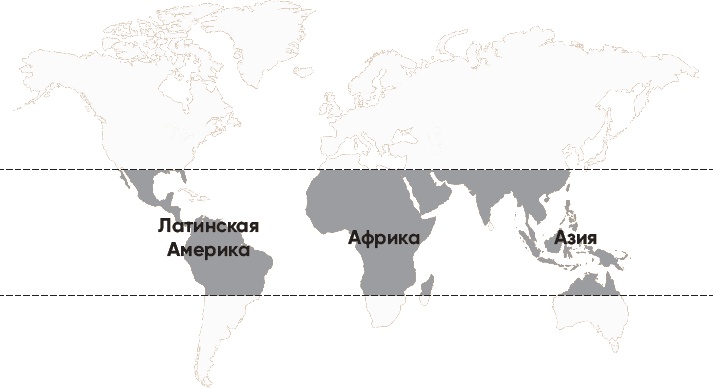 Иллюстрация к книге — Кофеман. Как найти, приготовить и пить свой кофе [_3.jpg]